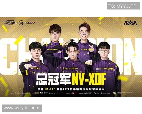 和平精英巨献：深入解析IG战队的默契配合与战术策略