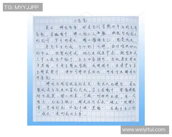 张芳专访：探索极限运动的挑战与成长之路