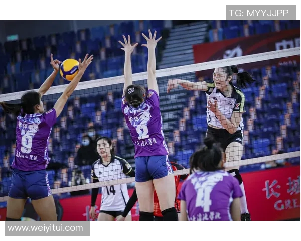 北京排球队状态变革引发热议球迷期待新辉煌