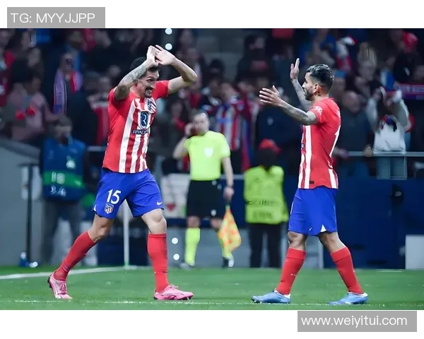 南非世法国对决南非球队精彩回顾与赛后分析