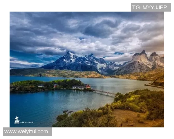 智利与澳大利亚激战正酣赛事回顾与精彩瞬间分析